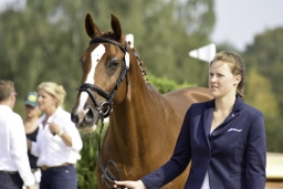 luhmuehlen-european-eventing-2019-vet-223-jpg
