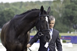 luhmuehlen-european-eventing-2019-vet-236-jpg