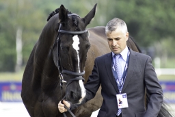 luhmuehlen-european-eventing-2019-vet-241-jpg