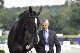luhmuehlen-european-eventing-2019-vet-242-jpg
