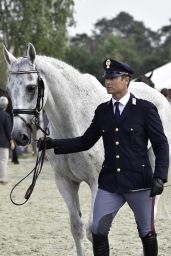 luhmuehlen-european-eventing-2019-vet-244-jpg