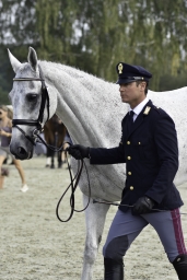 luhmuehlen-european-eventing-2019-vet-246-jpg