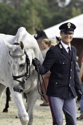 luhmuehlen-european-eventing-2019-vet-247-jpg