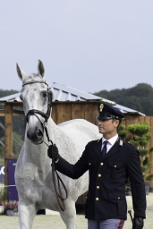 luhmuehlen-european-eventing-2019-vet-252-jpg