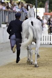 luhmuehlen-european-eventing-2019-vet-253-jpg