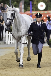 luhmuehlen-european-eventing-2019-vet-254-jpg