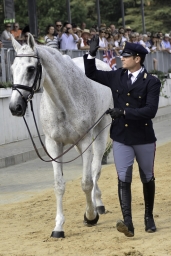 luhmuehlen-european-eventing-2019-vet-256-jpg