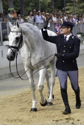 luhmuehlen-european-eventing-2019-vet-257-jpg