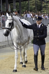 luhmuehlen-european-eventing-2019-vet-259-jpg