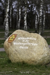 luhmuehlen-cci2-maerz-2019-007-jpg