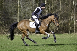 luhmuehlen-cci2-maerz-2019-011-jpg