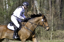 luhmuehlen-cci2-maerz-2019-013-jpg