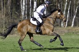 luhmuehlen-cci2-maerz-2019-014-jpg