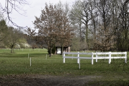 luhmuehlen-cci2-maerz-2019-016-jpg