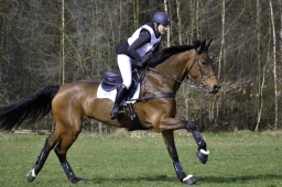 luhmuehlen-cci2-maerz-2019-017-jpg