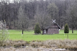 luhmuehlen-cci2-maerz-2019-021-jpg
