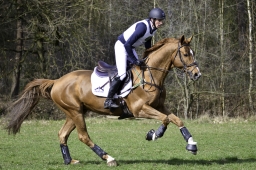 luhmuehlen-cci2-maerz-2019-023-jpg
