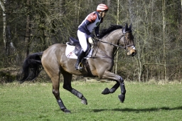 luhmuehlen-cci2-maerz-2019-025-jpg