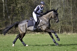luhmuehlen-cci2-maerz-2019-026-jpg
