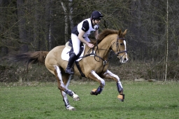 luhmuehlen-cci2-maerz-2019-027-jpg