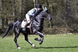 luhmuehlen-cci2-maerz-2019-028-jpg