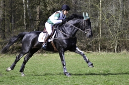 luhmuehlen-cci2-maerz-2019-029-jpg