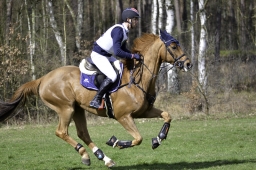 luhmuehlen-cci2-maerz-2019-030-jpg