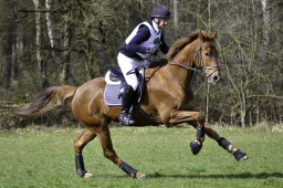luhmuehlen-cci2-maerz-2019-031-jpg
