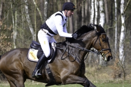 luhmuehlen-cci2-maerz-2019-034-jpg