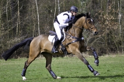 luhmuehlen-cci2-maerz-2019-036-jpg