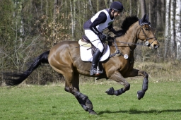luhmuehlen-cci2-maerz-2019-038-jpg