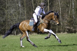 luhmuehlen-cci2-maerz-2019-039-jpg