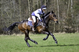 luhmuehlen-cci2-maerz-2019-040-jpg