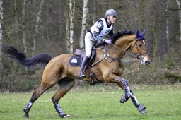 luhmuehlen-cci2-maerz-2019-041-jpg