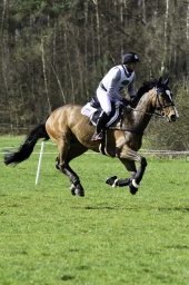 luhmuehlen-cci2-maerz-2019-043-jpg