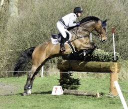 luhmuehlen-cci2-maerz-2019-044-jpg