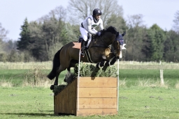 luhmuehlen-cci2-maerz-2019-046-jpg