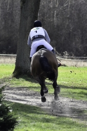 luhmuehlen-cci2-maerz-2019-049-jpg