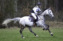 luhmuehlen-cci2-maerz-2019-050-jpg