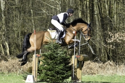 luhmuehlen-cci2-maerz-2019-051-jpg