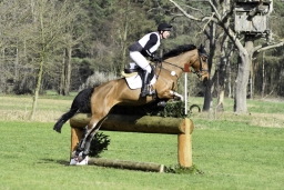 luhmuehlen-cci2-maerz-2019-052-jpg