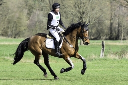 luhmuehlen-cci2-maerz-2019-053-jpg