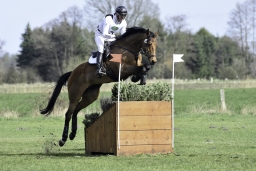 luhmuehlen-cci2-maerz-2019-057-jpg