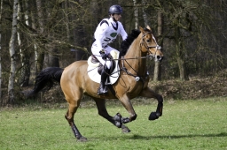 luhmuehlen-cci2-maerz-2019-060-jpg