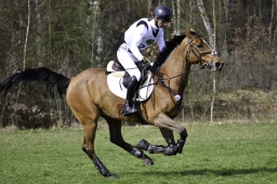 luhmuehlen-cci2-maerz-2019-061-jpg