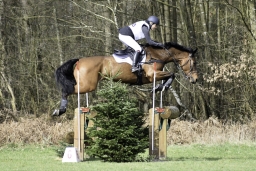 luhmuehlen-cci2-maerz-2019-063-jpg