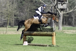 luhmuehlen-cci2-maerz-2019-064-jpg