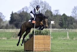 luhmuehlen-cci2-maerz-2019-065-jpg