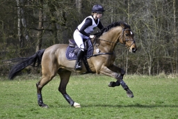 luhmuehlen-cci2-maerz-2019-069-jpg