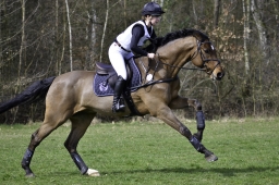 luhmuehlen-cci2-maerz-2019-070-jpg